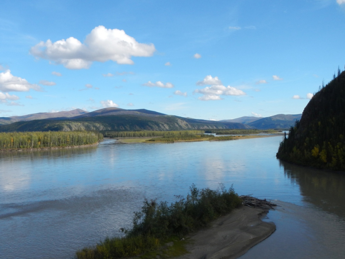 Юкон к какому бассейну. Река Юкон. Устье реки Юкон. Река Юкон Тип рельефа. Река Юкон Аляска фото.