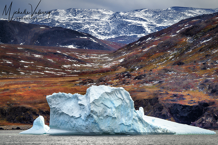 Greenland Wild Labrador with Nicola Ross in 2027