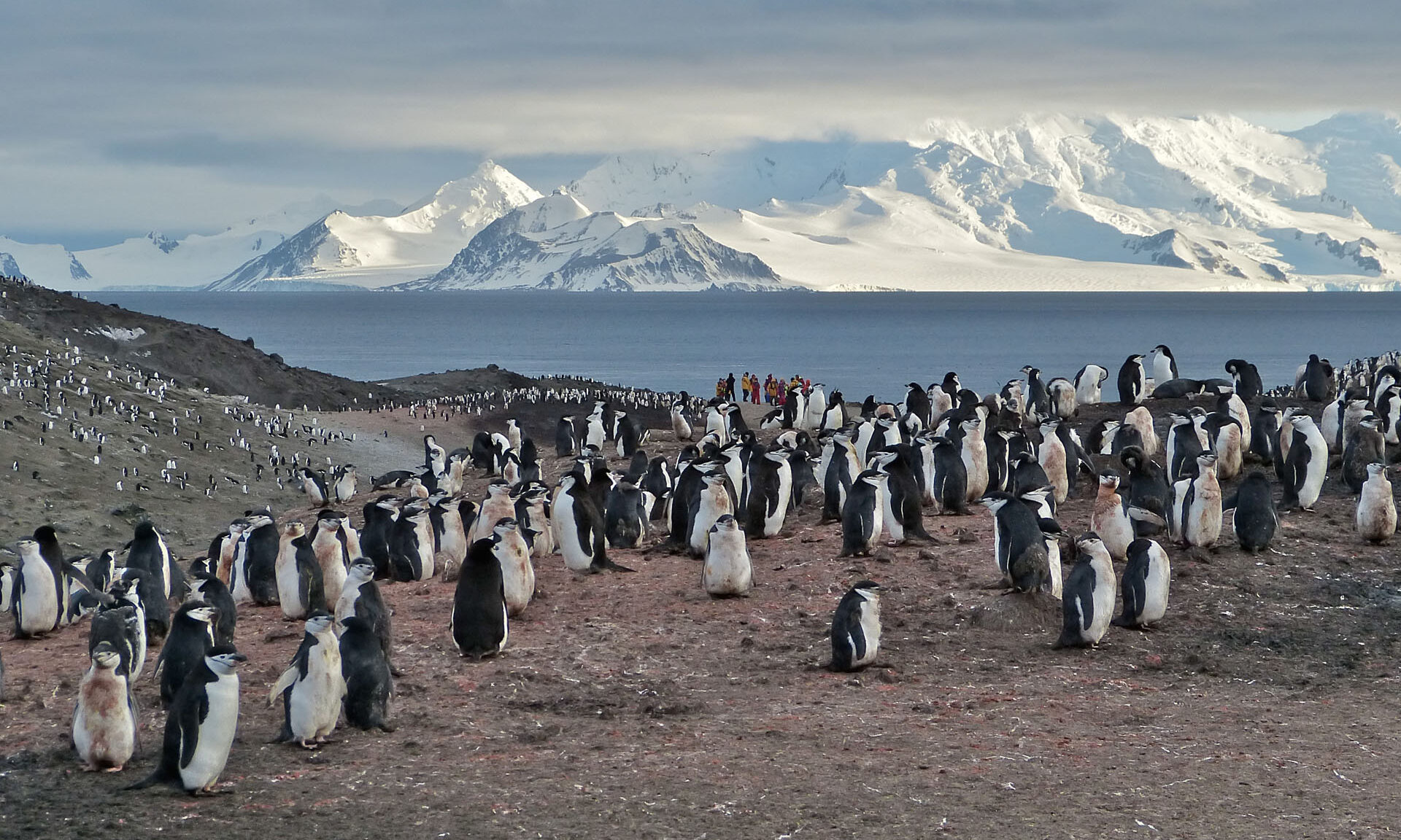 Epic Faukland Islands, South Georgia and Antarctica