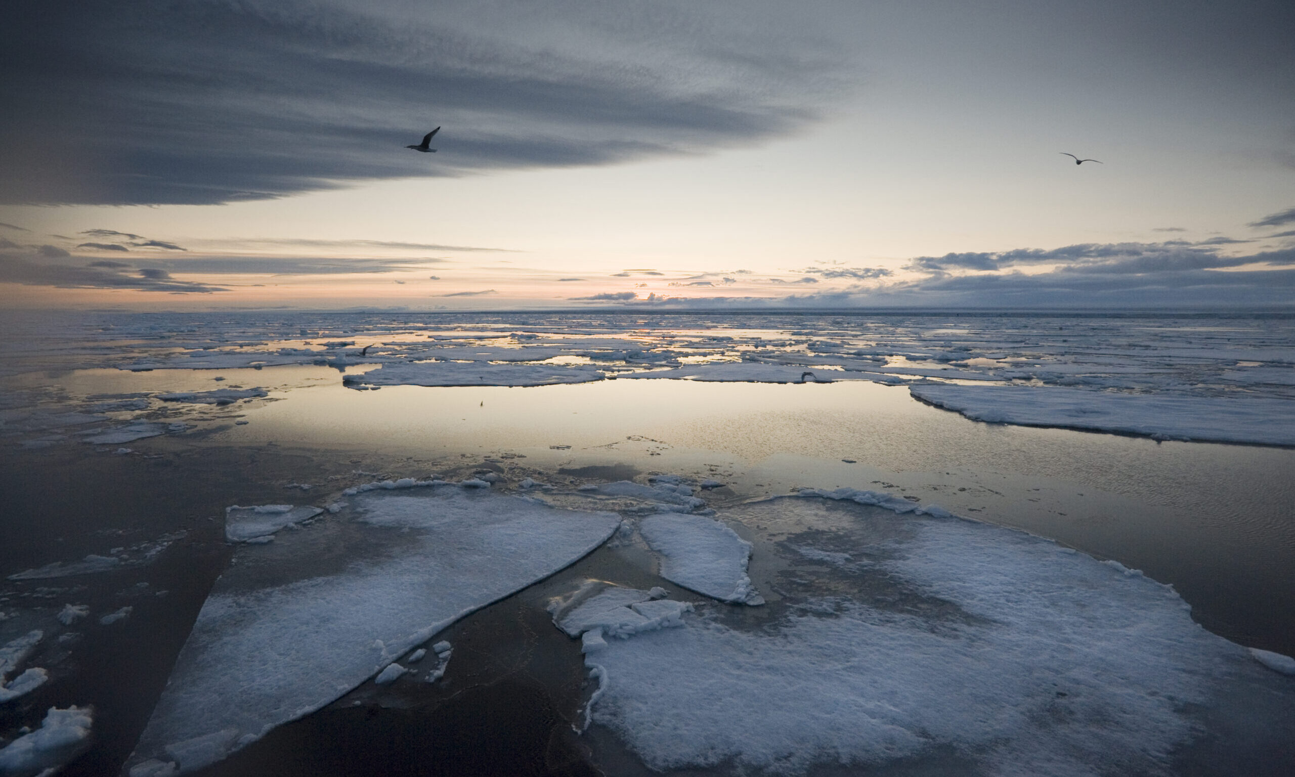 Svalbard: North to the Midnight Sun
