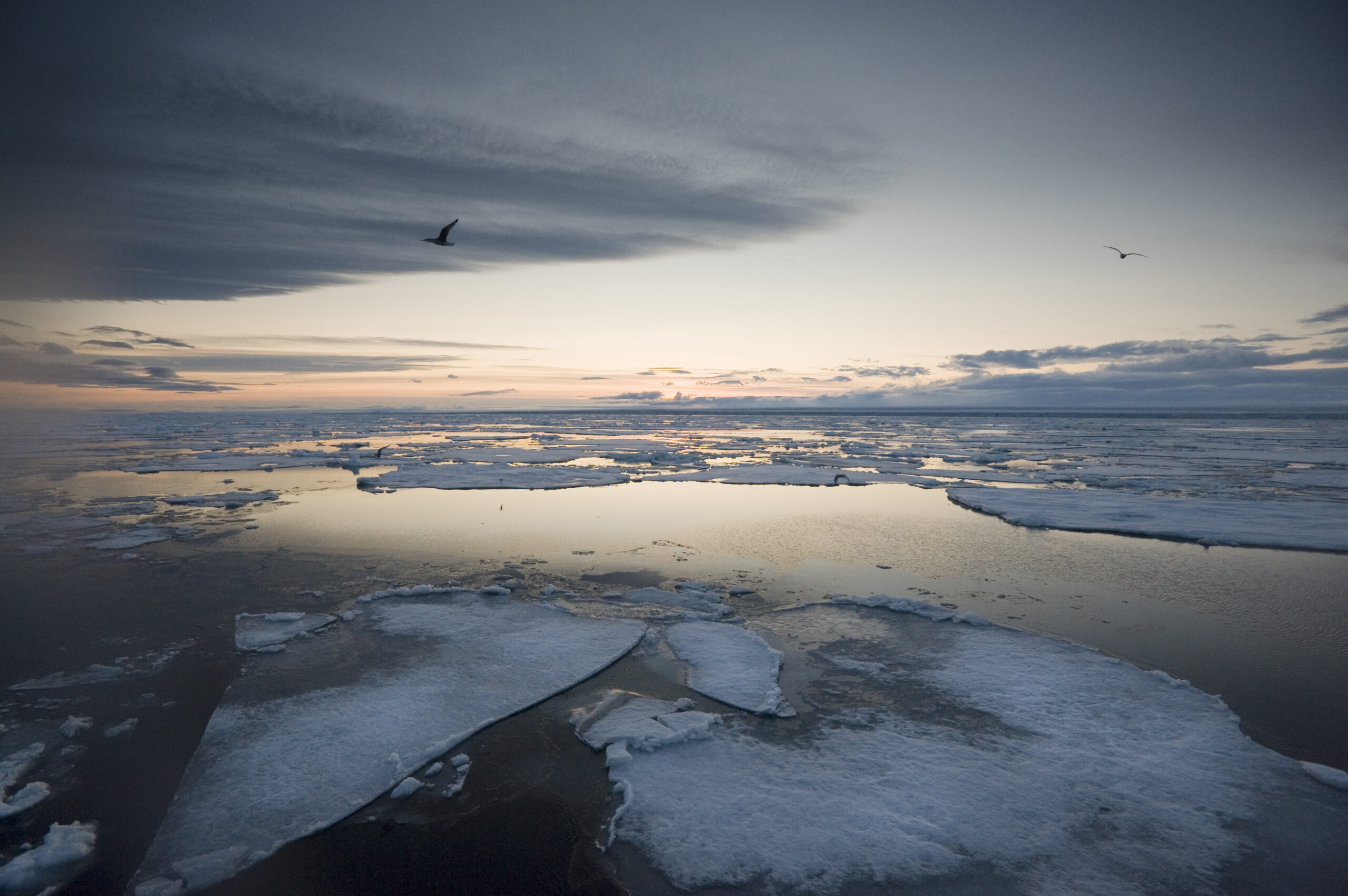 Svalbard: North to the Midnight Sun